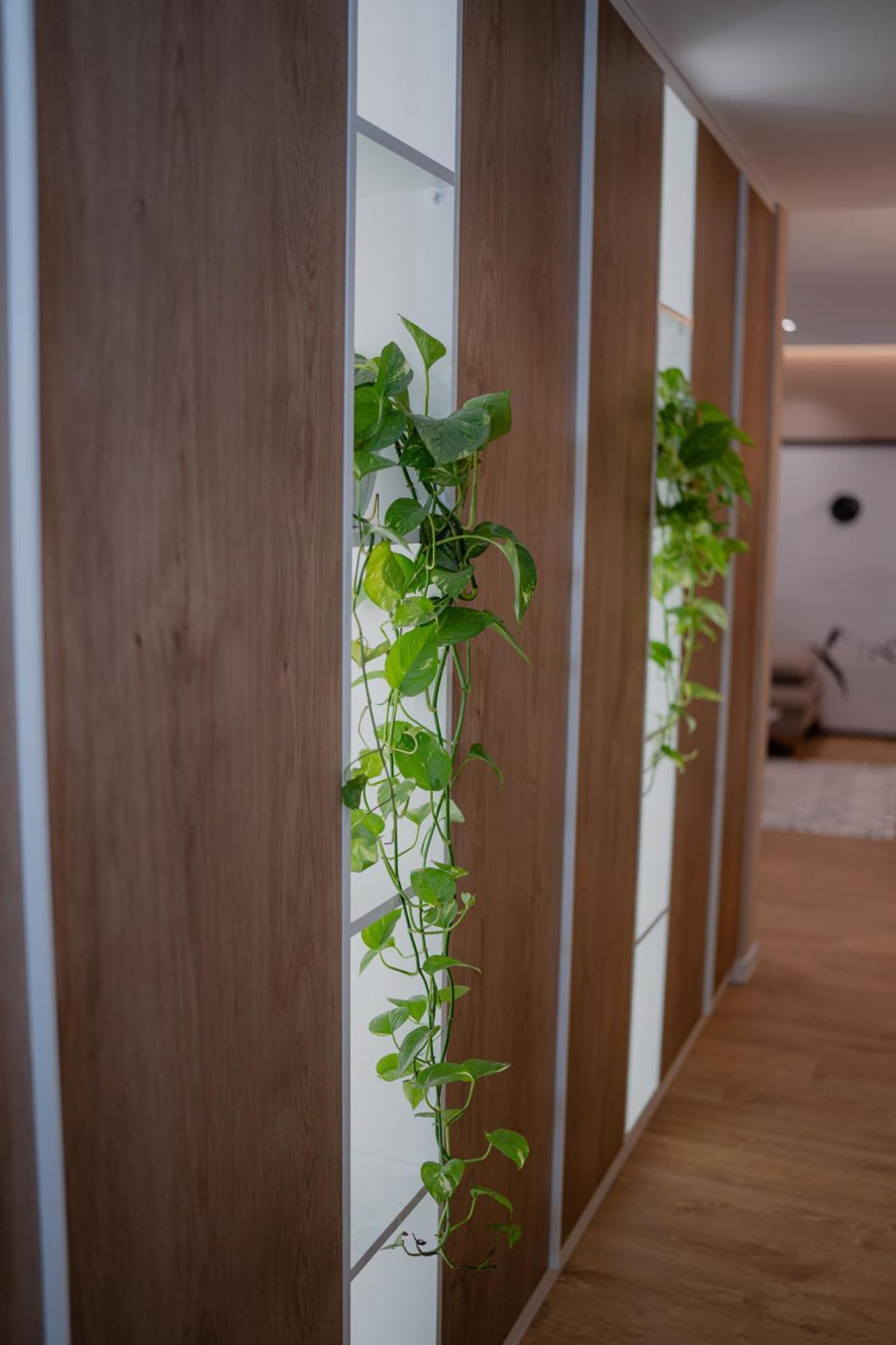 Lake Drive Rooms&Apartments Тирана Екстер'єр фото